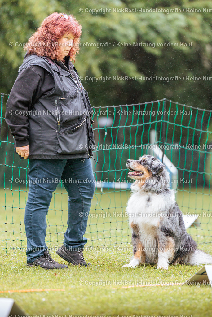 RO-Blumenthal-2026-Nickbest-Hundefotografie-3531 | Dein Hund! Dein Moment! Deine Erinnerungen! Hundefotografie in Bremen Blumenthal. Ich fange die besonderen Momente deines Vierbeiners ein – ob Indoor mit Blitzanlage oder in der freien Natur. Sicher dir dein Moment und dein Termin für eure Erinnerungen.