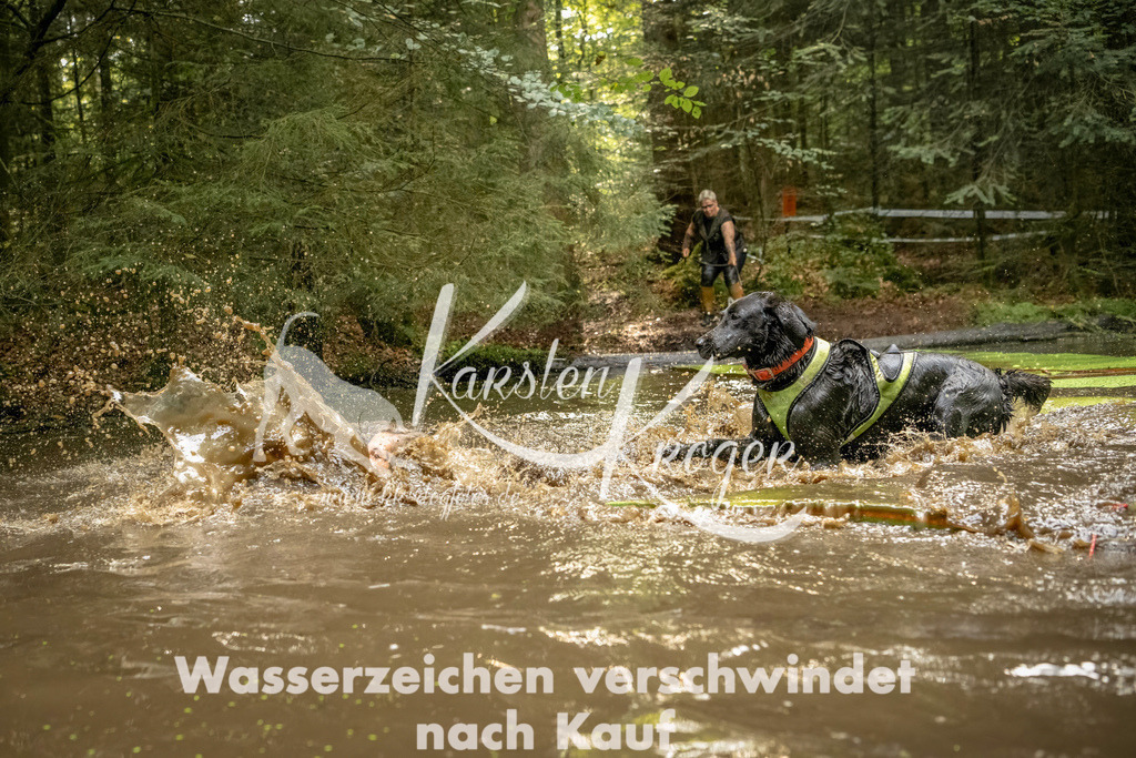 1406_ZZ90931-Bearbeitet | kk-dogfotos