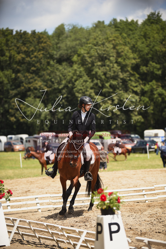 DSC_1366 | Pferde- und Turnierfotografie in Westsachsen. Pferdeportraits, Auftragszeichnungen und intuitive Kunst.