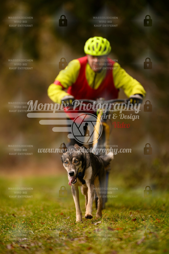 MompixPhotography_2SSTSSBW_2025_SO_Scooter-44 | PayLife