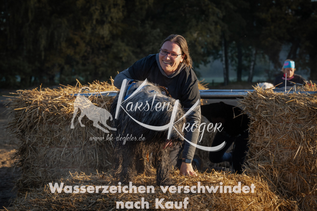 0905_ZZ91105 | kk-dogfotos