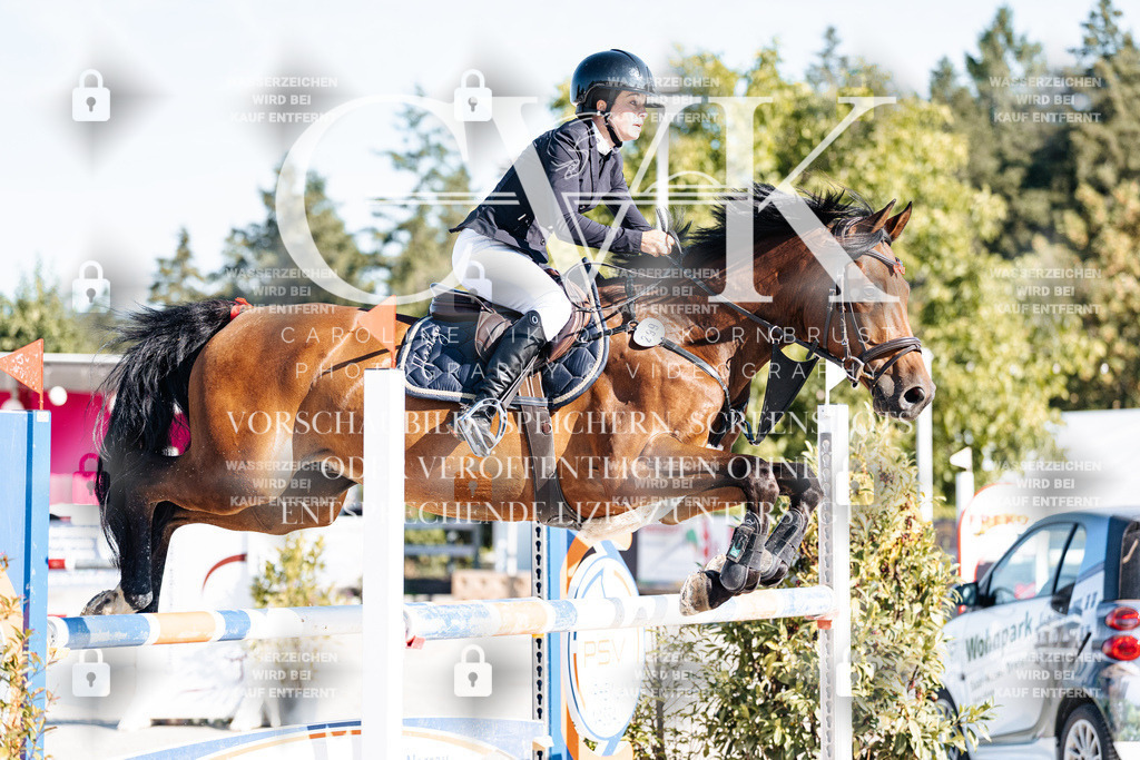CK904290 | Turnierfotografie Pferdefotografie Trier Rheinland-Pfalz Pferdesport Reitsport Tierfotografie Sportfotografie Pferdevideo Pferdevideografie Equestrianvideography equestrianphotography  - Realisiert mit Pictrs.com