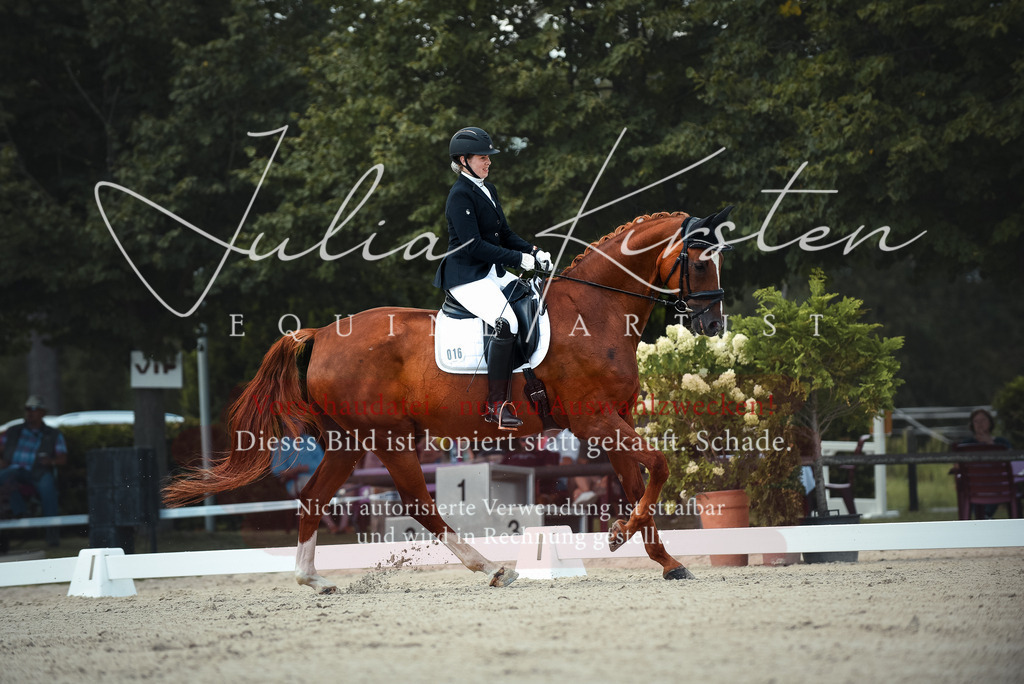 DSC_9112 | Pferde- und Turnierfotografie in Westsachsen. Pferdeportraits, Auftragszeichnungen und intuitive Kunst.