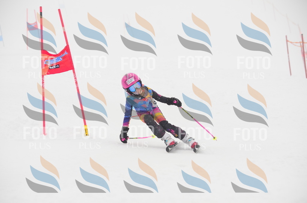 C1300 | holidayphoto