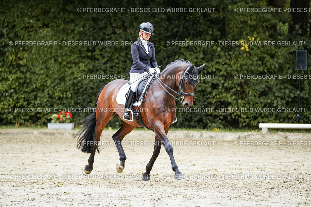 DSC09680 | Pferdegrafie