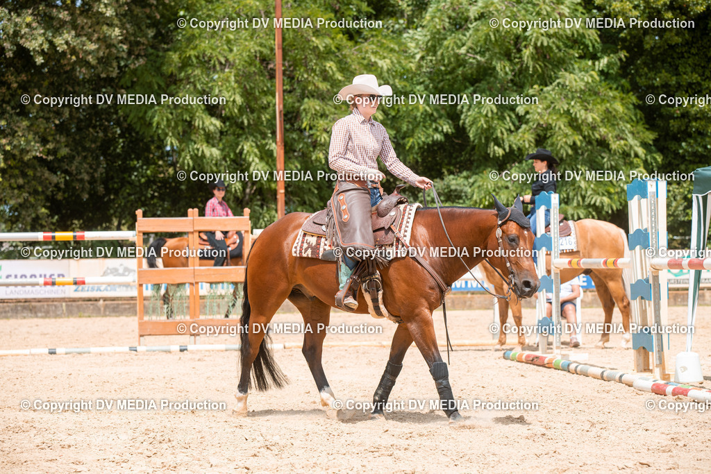 EWP_6342 | dv-media-shop - Realisiert mit Pictrs.com