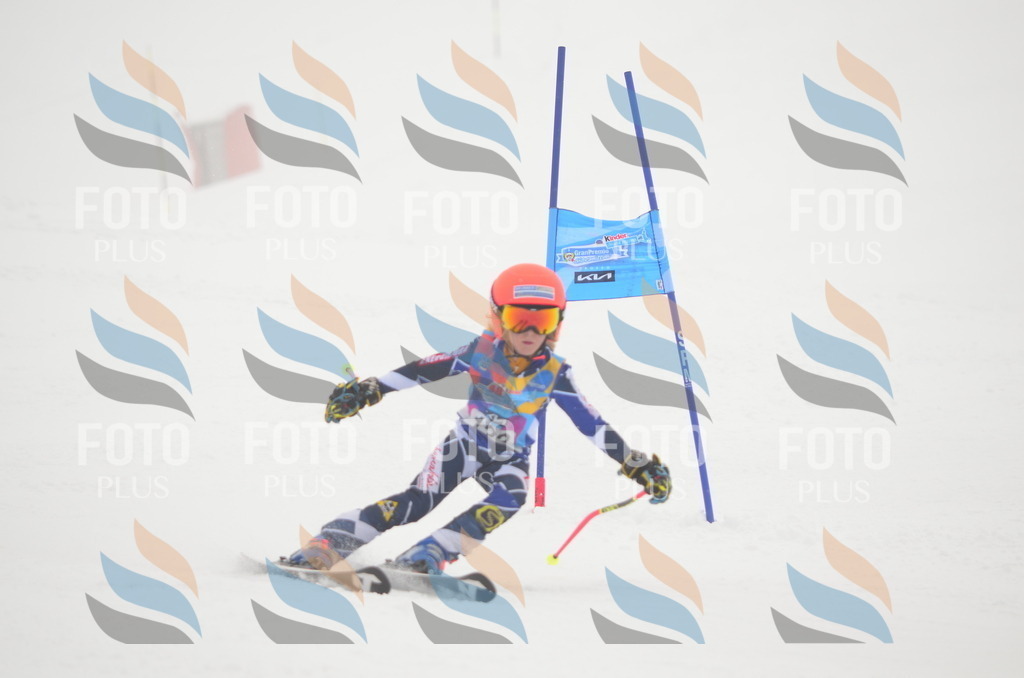 C1647 | holidayphoto