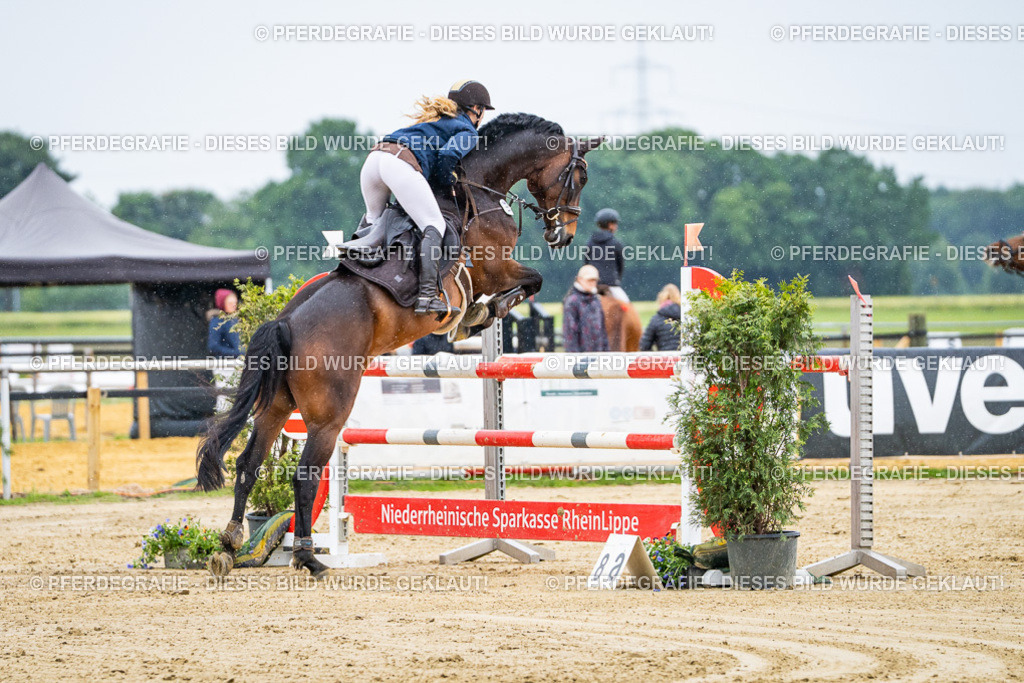 DSC07733 | Pferdegrafie