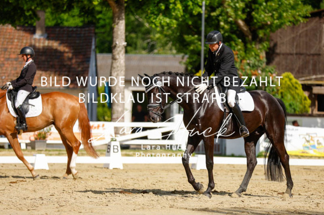 _62_2525 | larahueckfotografie