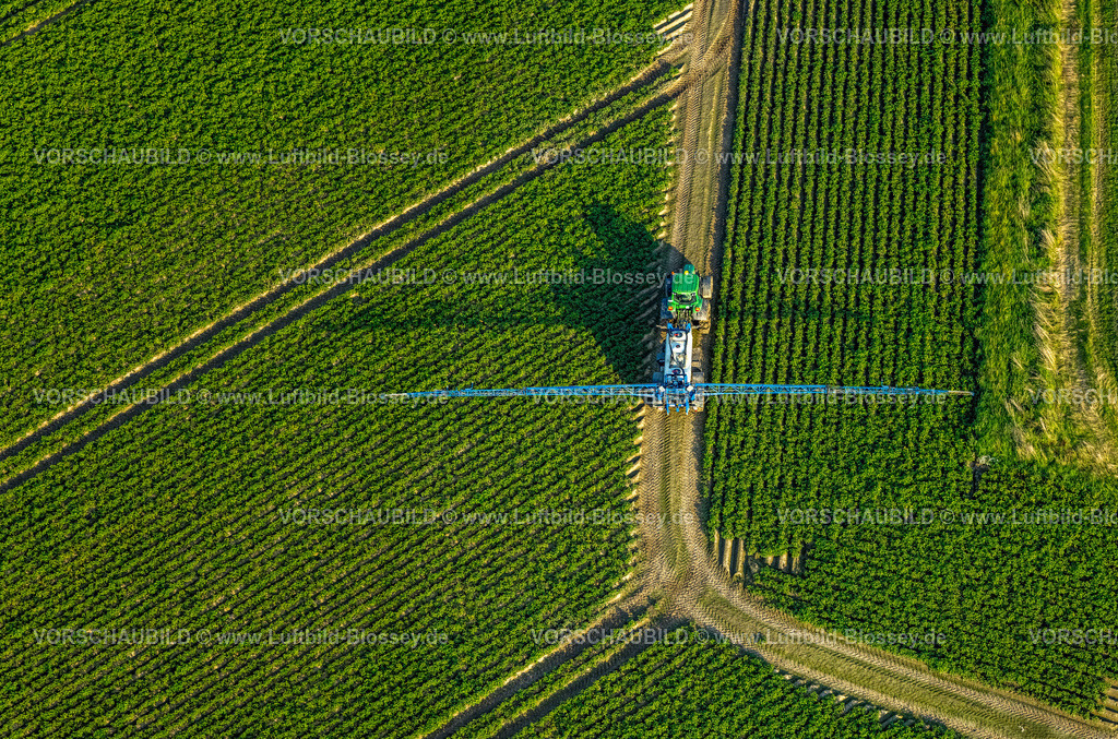 Werl230807390 | Luftbild, Feldarbeit mit Landmaschinen, besprühen von Feldern, Sönnern, Werl, Werl-Unnaer Börde, Nordrhein-Westfalen, Deutschland