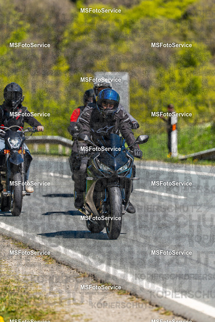 MSFotoServiceXXX354 | MSFotoService - Realisiert mit Pictrs.com