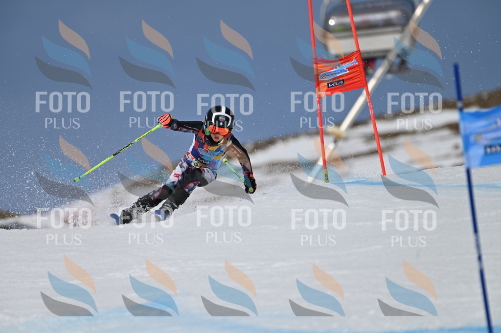 BGV_7359 | holidayphoto