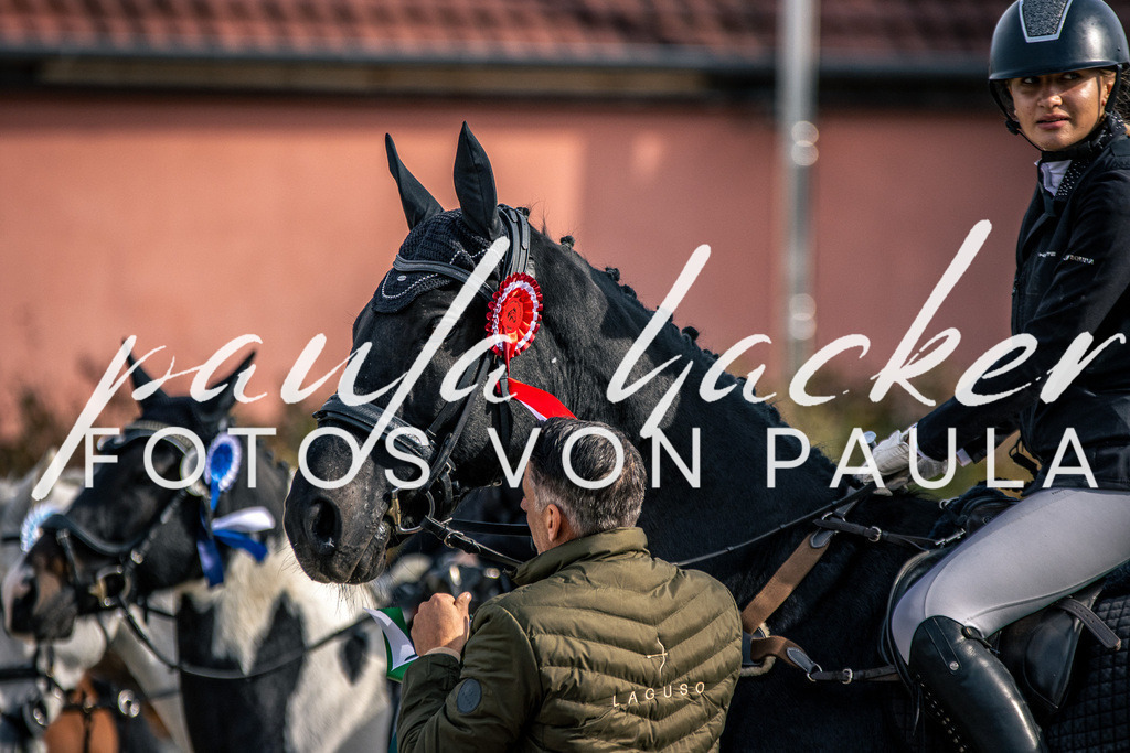 IMG_5637 | Erleben Sie dynamische Sport- und emotionale Tierfotografie in Süddeutschland mit Fotos von Paula. Spezialisiert auf Pferde- und Hundefotografie sowie Sportevents. Kontaktieren Sie mich für einzigartige und ausdrucksstarke Bilder Ihrer besonderen Momente. - Realisiert mit Pictrs.com