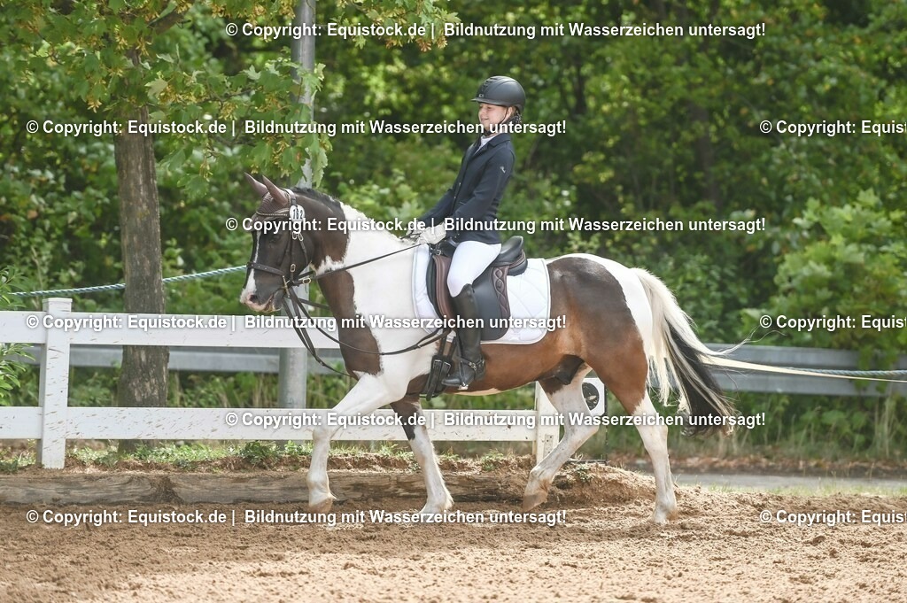 20230716_10-2_Reiter-WB Schritt - Trab - Galopp_0166 | equistock