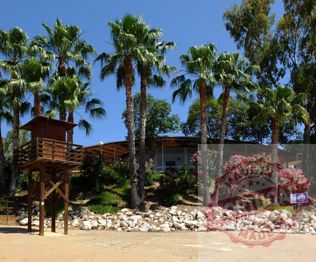 Wooden lifeguard tower standing on a tropical beach. Spain - Extremadura | Wooden lifeguard tower standing on a sunny beach with palm trees and blooming flowers - Realized with Pictrs.com