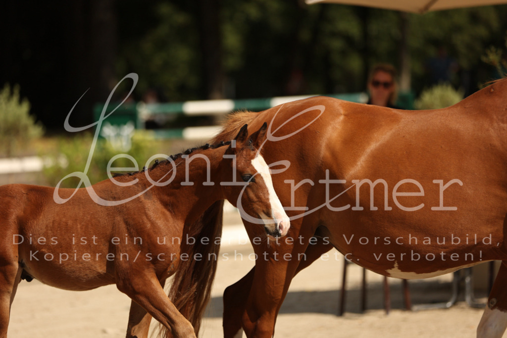 08.DoRPS00056 | Leoni Ertmer Photography - Realisiert mit Pictrs.com