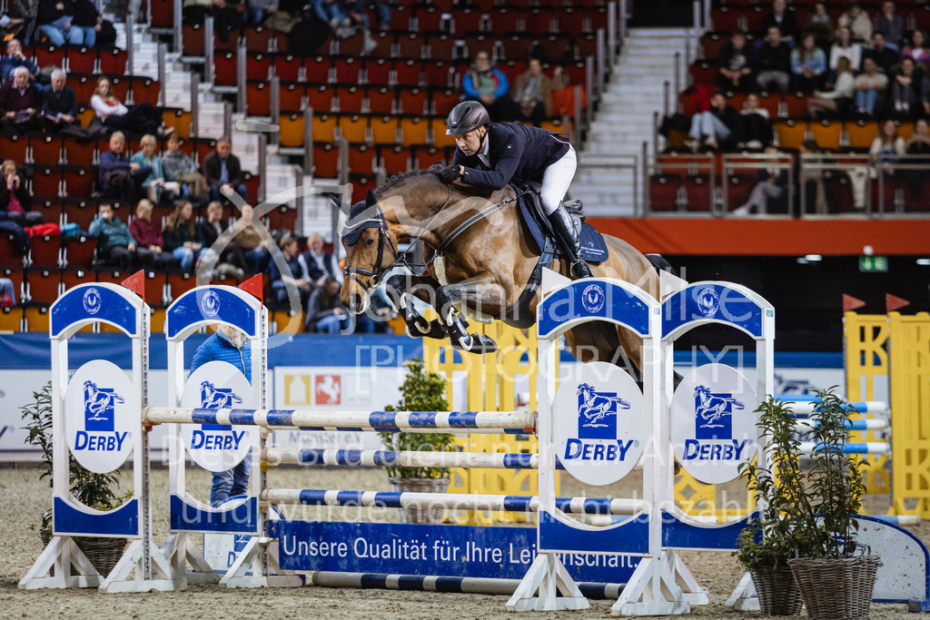 250108_Muenster_Hengstpräsentation-183 | Deine schönsten Turniermomente als professionelle Fotos! Entdecke hochwertige Pferdesport-Fotografie im Online-Shop. Jetzt Fotos finden & bestellen!