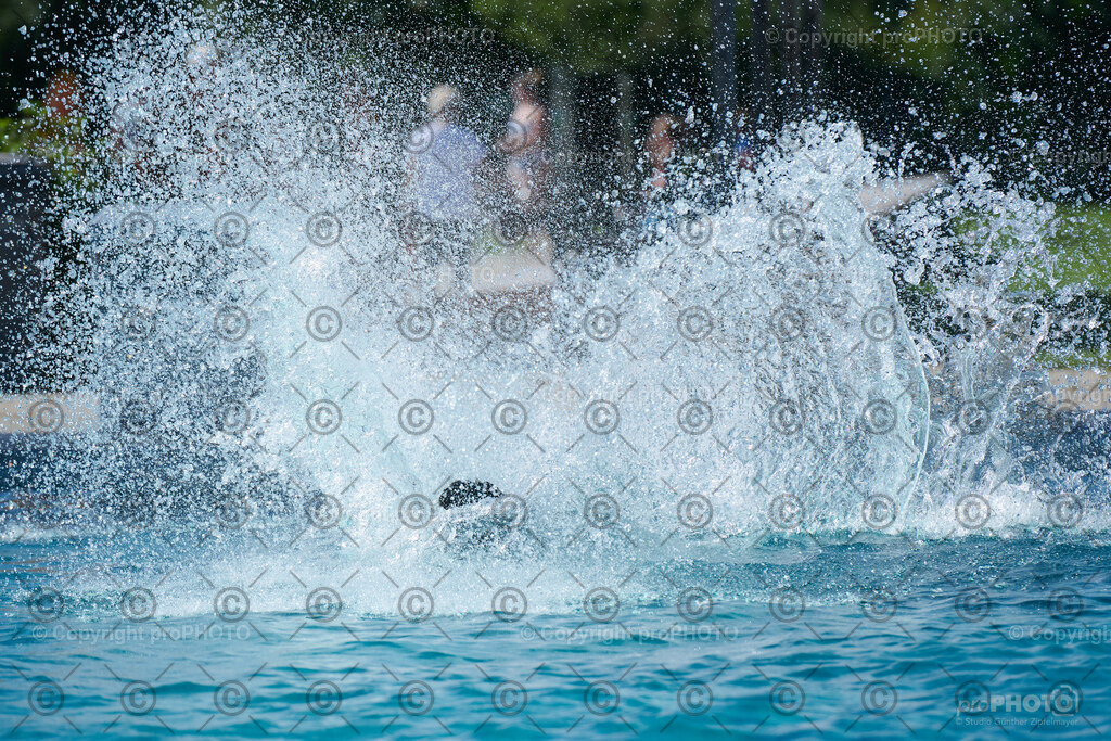 135_202509_4Hundebadetag_NZ9_2544 | proPHOTO - Realisiert mit Pictrs.com