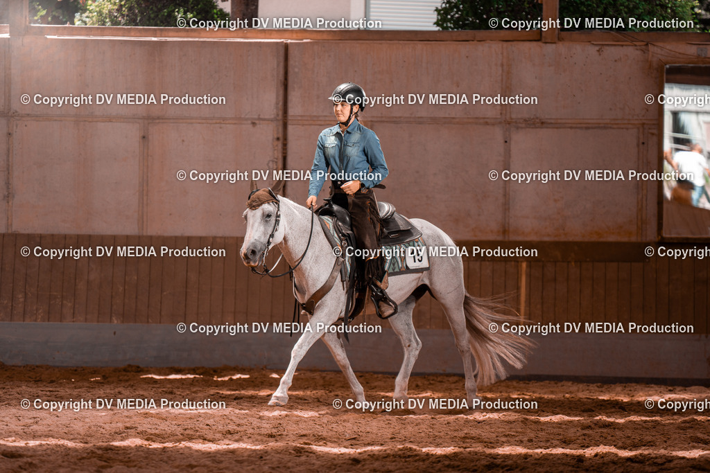 NE200728 | dv-media-shop - Realisiert mit Pictrs.com