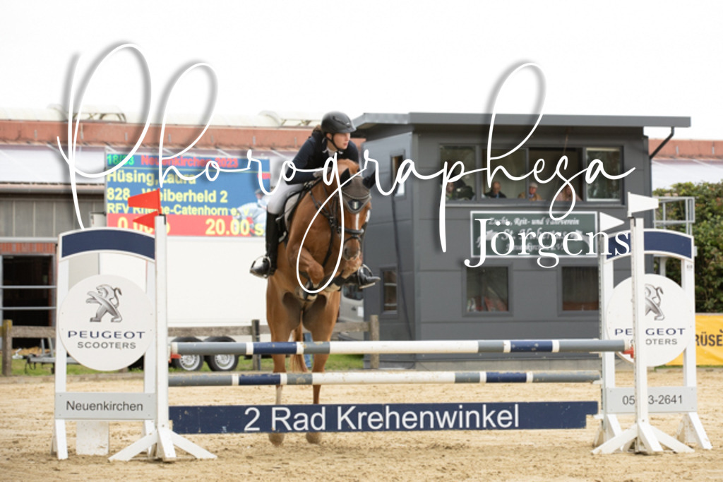 IMG_6582 | photographesa-joergens - Realisiert mit Pictrs.com