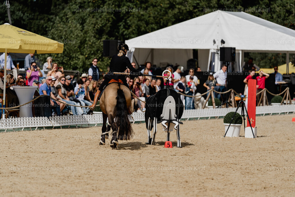 Katja7_FHC2025-2687 | working equitationturnier fotograf videograf stoibphotography marixx film working equitation deutschland reitsport turnierfotografie eventfotografie equestrian events