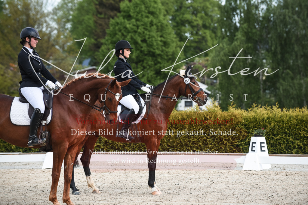 20230518_JK-Röhrsdorf-12-0004 | Pferde- und Turnierfotografie in Westsachsen. Pferdeportraits, Auftragszeichnungen und intuitive Kunst.