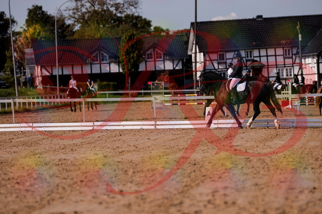 2026_10_03_Siefer-Hof_120756_Z81_11163257 | Professionelle Reitsport-, Turnier- und Eventfotografie von Robert Broda. Galerien mit ausgewählten und bearbeiteten Bildern direkt online ansehen und bestellen.