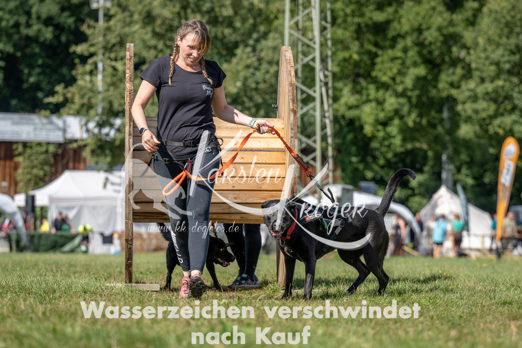 1131_ZZ90555 | kk-dogfotos