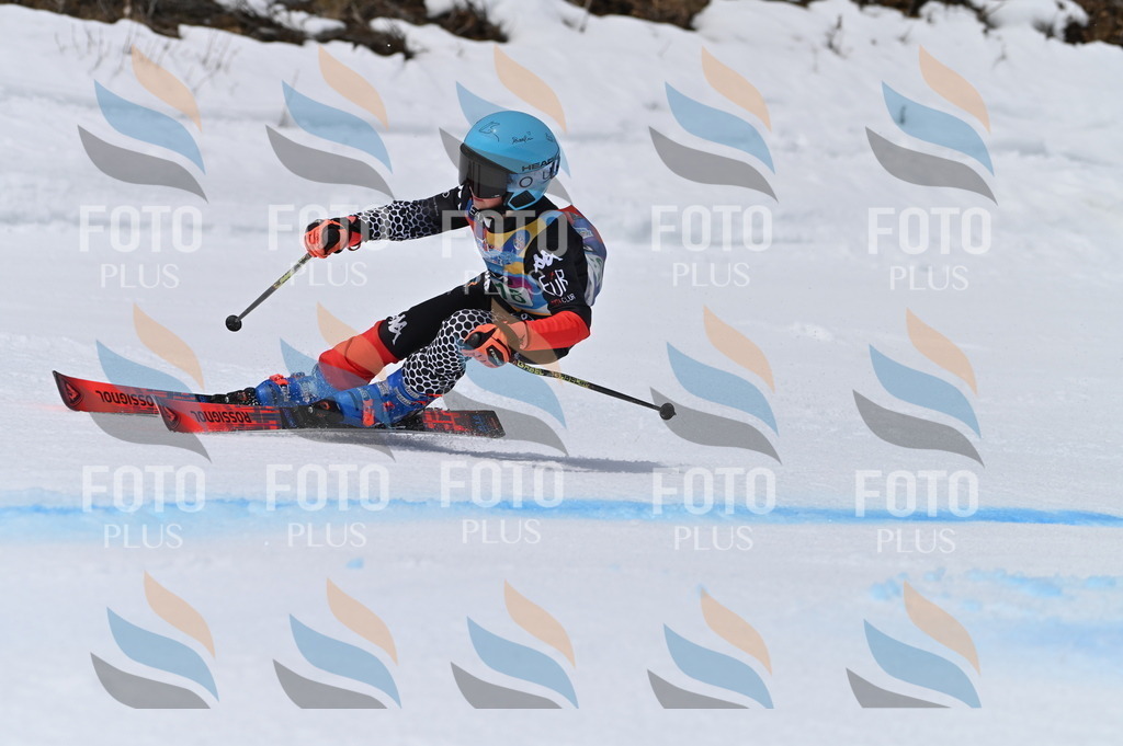 BGV_4214 | holidayphoto