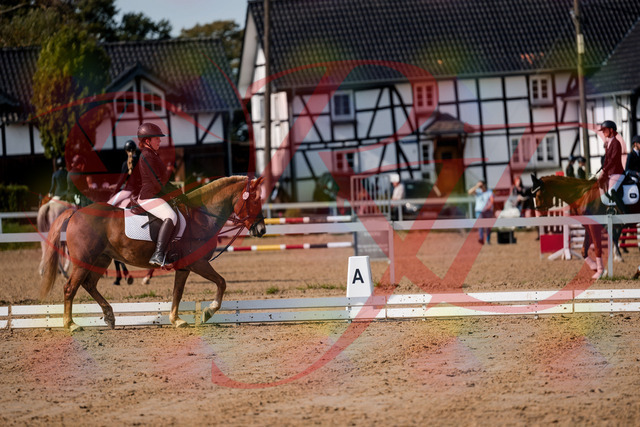 2026_10_03_Siefer-Hof_122038_Z63_43536609 | Professionelle Reitsport-, Turnier- und Eventfotografie von Robert Broda. Galerien mit ausgewählten und bearbeiteten Bildern direkt online ansehen und bestellen.
