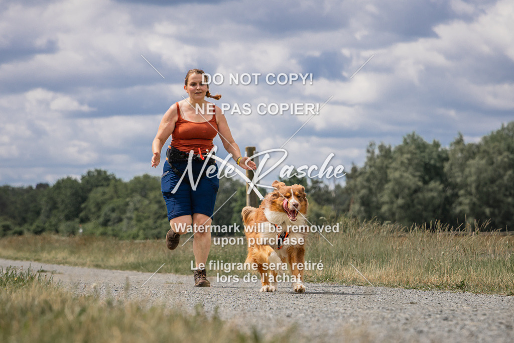 nelerasche_BuHu2026_SaCC1100-1200_199 | nelerasche