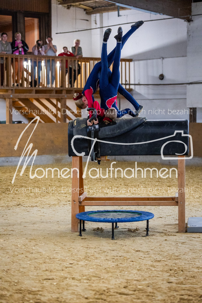 Holzpferd-079 | MomenTaufnahmen Pferdesportfotos