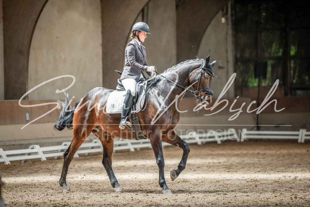 20250622-_3LI2955 | Tierfotografie Pferde, Hunde, Katzen, Haustiere.
Turnierfotografie Reitturniere, Reiten, Springreiten, Dressur in Hanau, dem Main-Kinzig-Kreis und dem Rhein-Main- Gebiet um Frankfurt