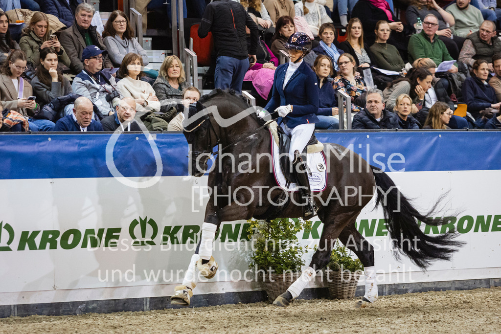 250108_Muenster_Hengstpräsentation-160 | Deine schönsten Turniermomente als professionelle Fotos! Entdecke hochwertige Pferdesport-Fotografie im Online-Shop. Jetzt Fotos finden & bestellen!