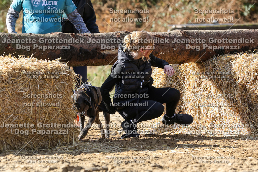 Dog Paparazzi - Strongdog 10-25-4859 | Dog Paparazzi Jeanette Grottendiek Fotografie & Videografie - Realisiert mit Pictrs.com