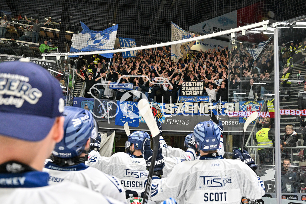 Augsburger Panther - Straubing Tigers | Das Team der Tigers feiert zusammen mit den Fans den Auswaertssieg in Augsburg / Jubel / Freude / Ultras / DEL: Augsburger Panther - Straubing Tigers, Curt Frenzel Stadiom am 20.10.2024