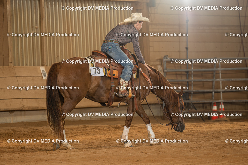 NID02293 | dv-media-shop - Realisiert mit Pictrs.com