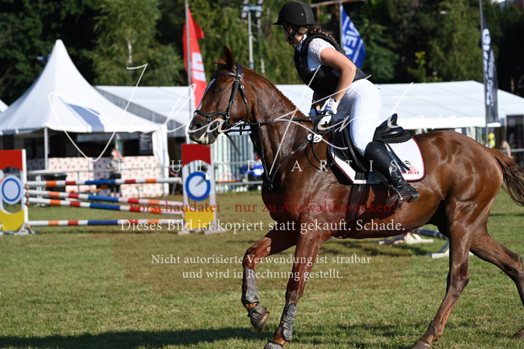 DSC_4704 | Pferde- und Turnierfotografie in Westsachsen. Pferdeportraits, Auftragszeichnungen und intuitive Kunst.