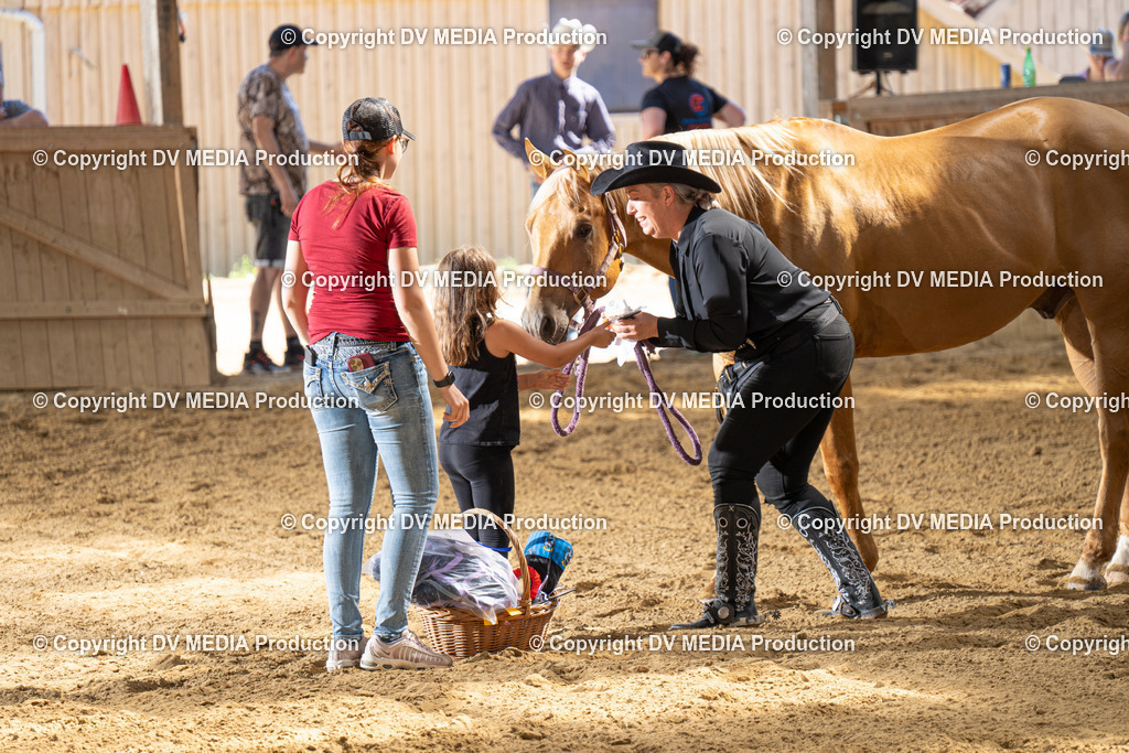 DSC00176 | dv-media-shop - Realisiert mit Pictrs.com