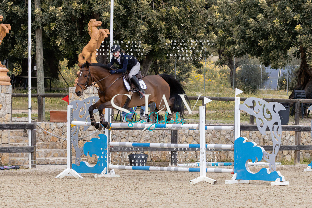 IMG_5238 | s-jay-photography - Realisiert mit Pictrs.com