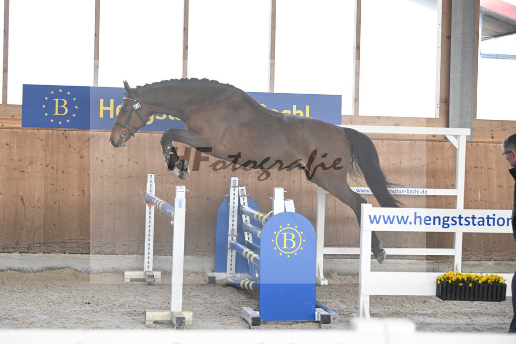 Kat-Nr. 28 Vintl B v. Vigaro_Rau_14260876 | hf-fotografie - Realisiert mit Pictrs.com