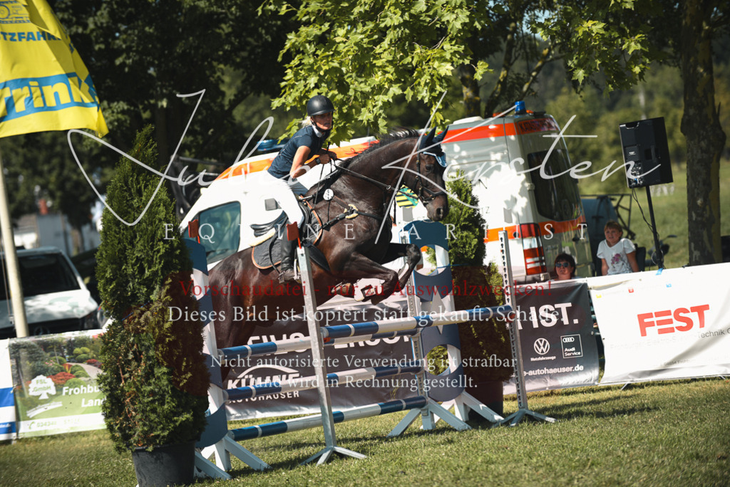 DSC_6920 | Pferde- und Turnierfotografie in Westsachsen. Pferdeportraits, Auftragszeichnungen und intuitive Kunst.