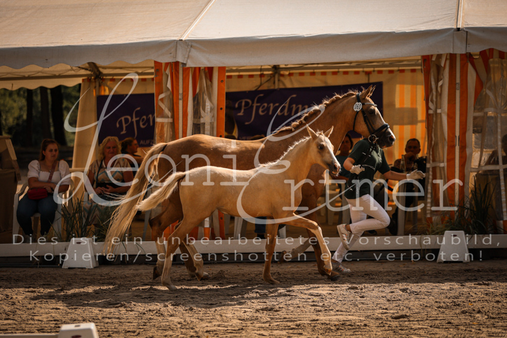 10.DoRP00138 | Leoni Ertmer Photography - Realisiert mit Pictrs.com