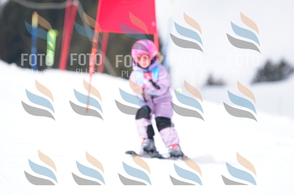 A3674 | holidayphoto