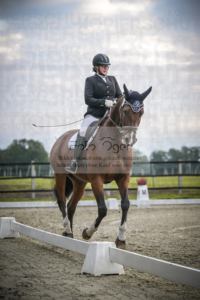 DOS_1357 | Entdecke hochwertige Reitturnierfotos von Foto Oger. Professionell, emotional und authentisch – jetzt Lieblingsmomente im Shop bestellen.Deutschlandweite Turnierfotografie. - Realisiert mit Pictrs.com