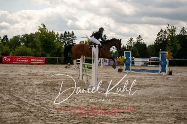 IMG_5591 | Turniersportfotografie; Pferdefotografie; Dressurfotografie