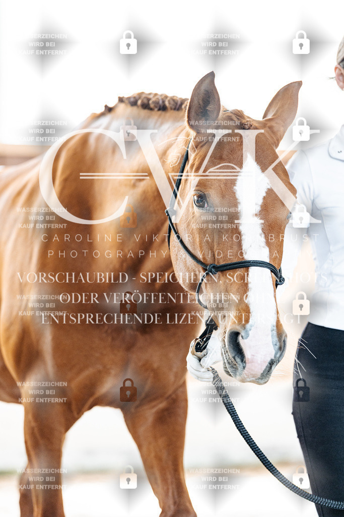 CK906915 | Turnierfotografie Pferdefotografie Trier Rheinland-Pfalz Pferdesport Reitsport Tierfotografie Sportfotografie Pferdevideo Pferdevideografie Equestrianvideography equestrianphotography  - Realisiert mit Pictrs.com