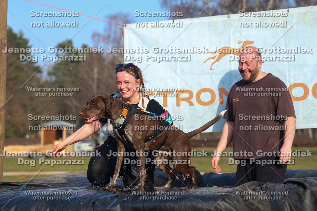 Dog Paparazzi - Strongdog North Mrz26-3604 | Dog Paparazzi Jeanette Grottendiek Fotografie & Videografie - Realisiert mit Pictrs.com