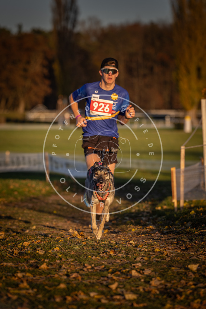 CaniXpix_DV3A5047 | Hundefotografie, Tierfotograf, Pfotenfotografie, Fotoshooting Hund, Hunde Portrait, Hundesport, Hundeportraits, Heideshooting, Hunde, Sportfotograf, Hundefotograf, Turnierhundsport, THS,  - Realisiert mit Pictrs.com