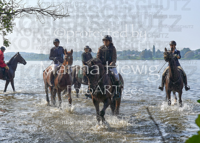 09-23 JAgd PerdölDSC02264_Marina Hewig | Fotografie, FotoArt, PferdesportArt, Pferdesportfotografie, Landschaftsfotografie, Reisefotografie, Reise, Pferde - Realisiert mit Pictrs.com
